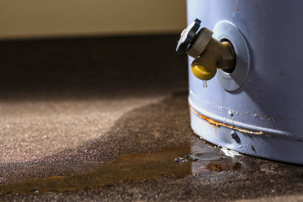Best Residential water damage restoration  in Newark, OH