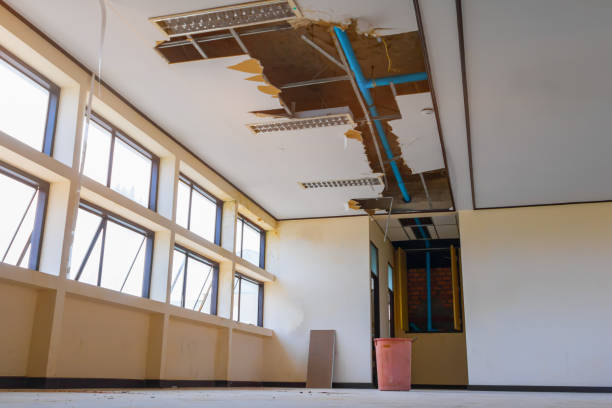 Best Ceiling water damage repair  in Newark, OH