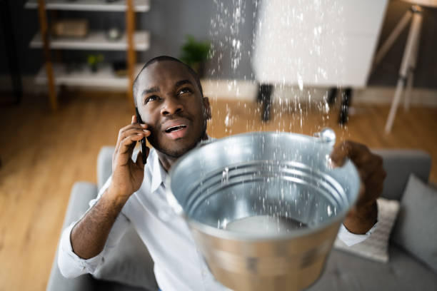 Best Water damage cleanup near me  in Newark, OH