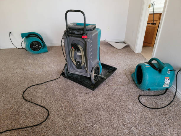 Best Flood restoration services  in Newark, OH