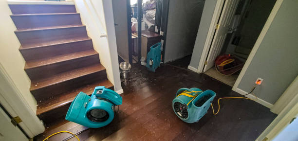 Best Local water damage restoration  in Newark, OH
