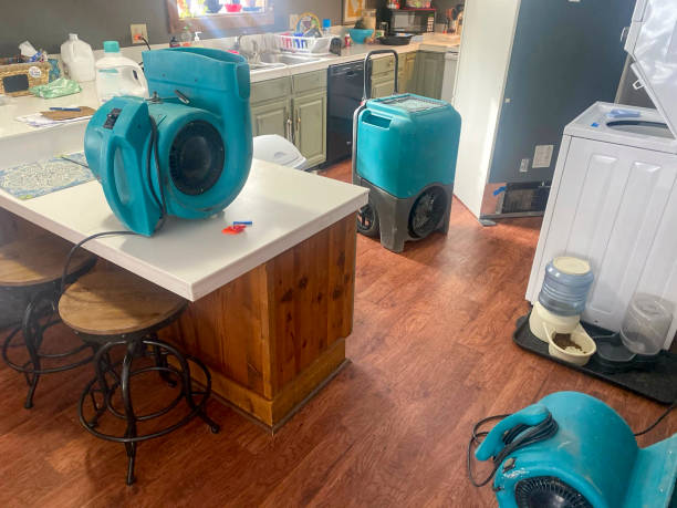 Best Water damage restoration near me  in Newark, OH