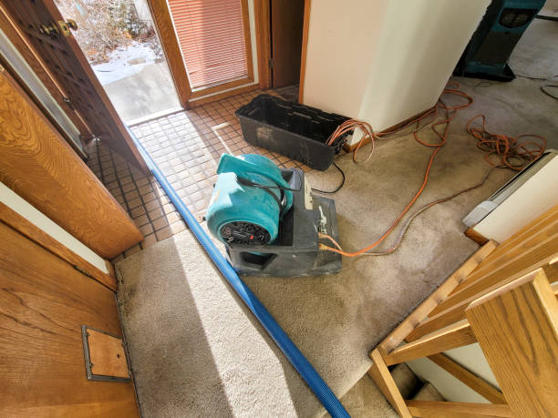 Best Carpet water damage restoration  in Newark, OH
