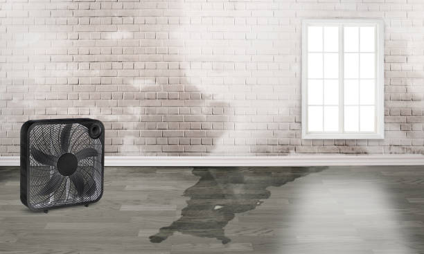 Best Commercial water damage restoration  in Newark, OH