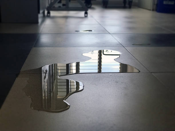 Best Water damage restoration near me  in Newark, OH