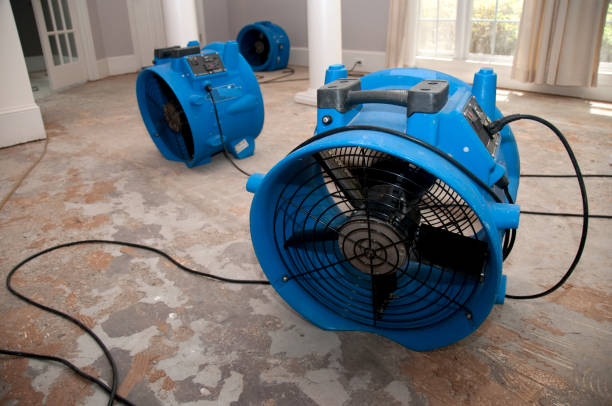 Best Mold removal after water damage  in Newark, OH