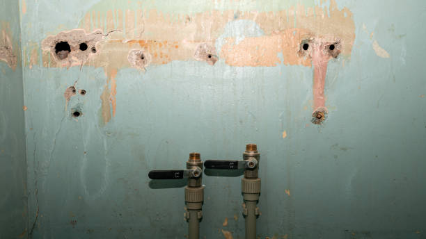 Best Flooded house restoration  in Newark, OH