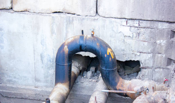 Best Water damage cleanup near me  in Newark, OH